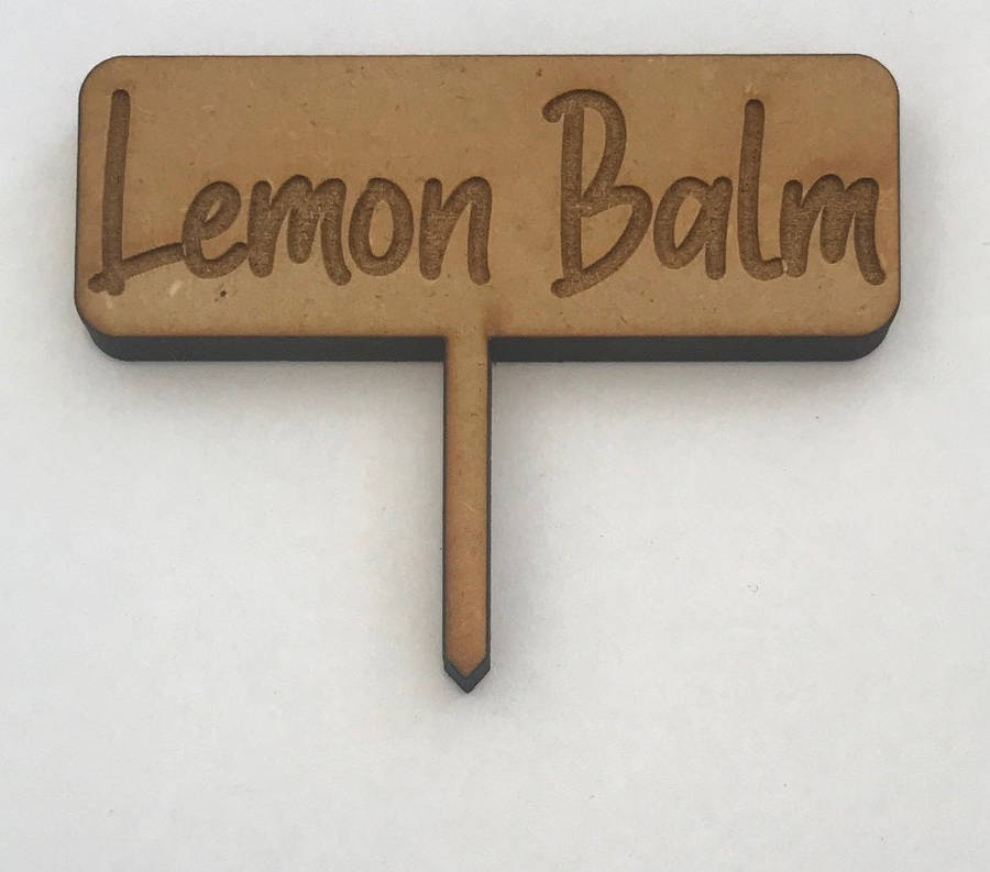 Hand Made Wooden Herb Mini Plant Markers T Shaped
