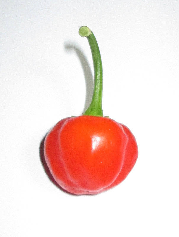 Cape Medallion Sweet Red Cherry Pepper - Capsicum baccatum v pendulum - 10 Seeds