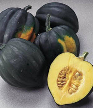 Table King Acorn Squash - ORGANIC - Heirloom Vegetable - 10 Seeds