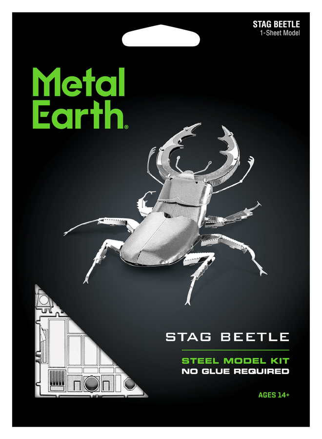 Puzzle 3D Stag Beetle 12pc