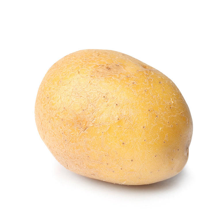 Sifra Seed Potatoes, 10 per bag