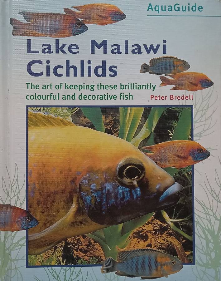 Lake Malawi Cichlids: The Art of Keeping these Brilliantly Colourful and Decorative Fish | Peter ...