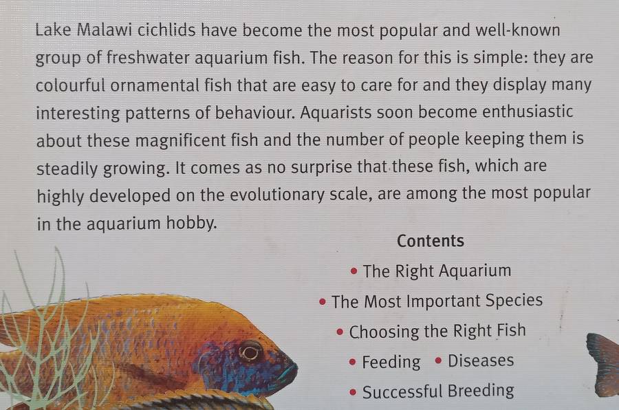 Lake Malawi Cichlids: The Art of Keeping these Brilliantly Colourful and Decorative Fish | Peter ...