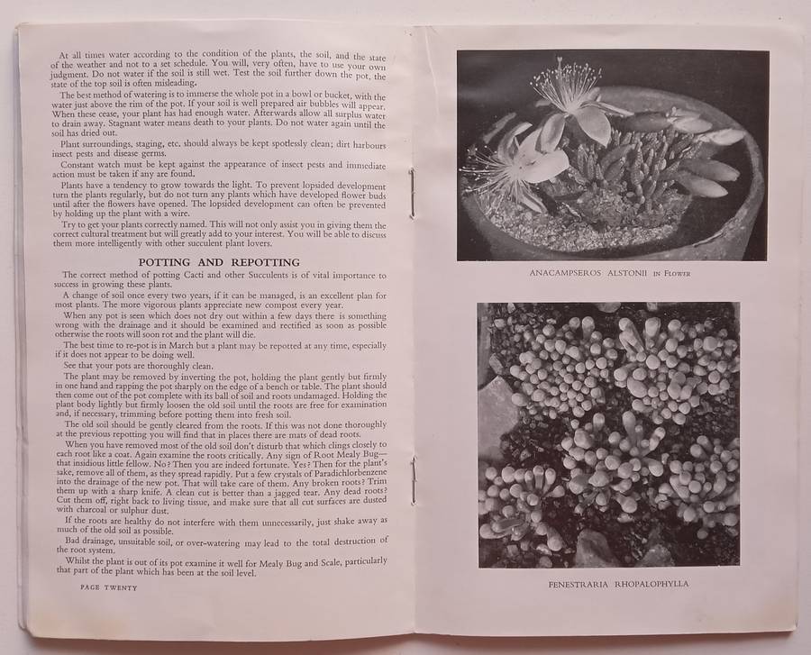 An Introduction to Cactus and Succulent Plants | H. M. Roan &amp; S. H. Scott
