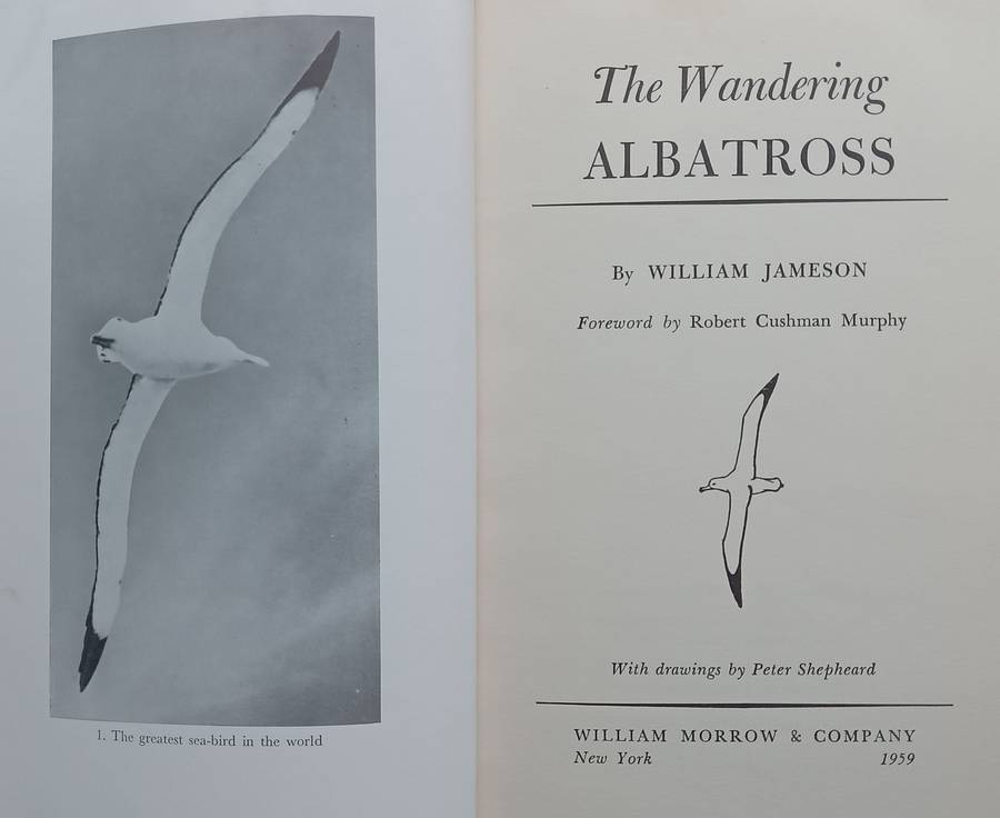 The Wandering Albatross | William Jameson