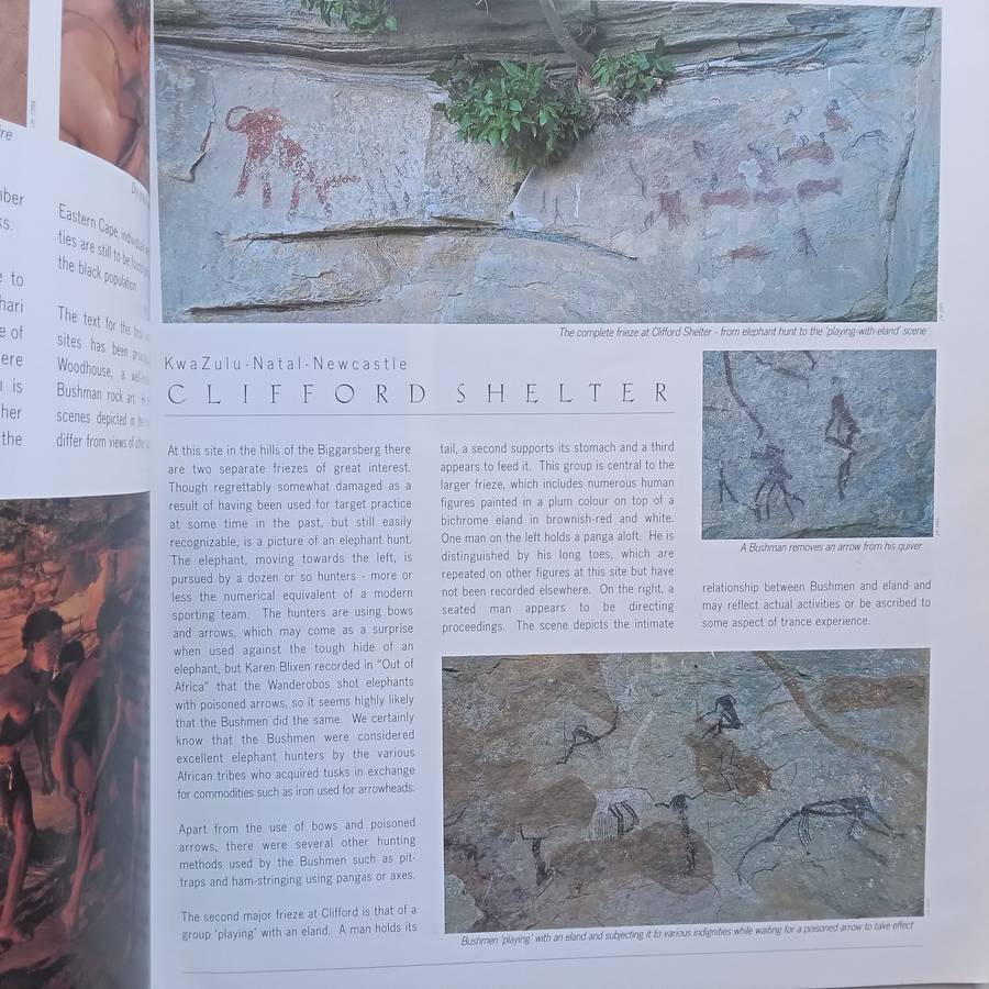 Bushman Art of Southern Africa: 40 Significant Bushman Rock-Art Sites | H. C. Woodehouse