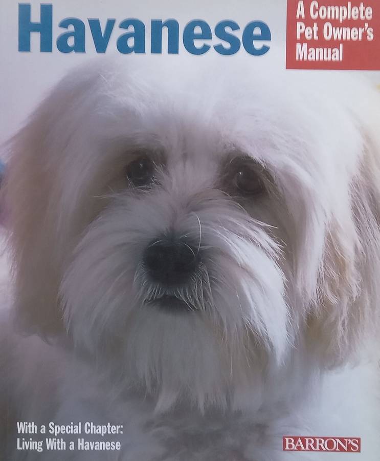 Havanese: A Complete Pet Owners Guide | Nikki Riggsbee