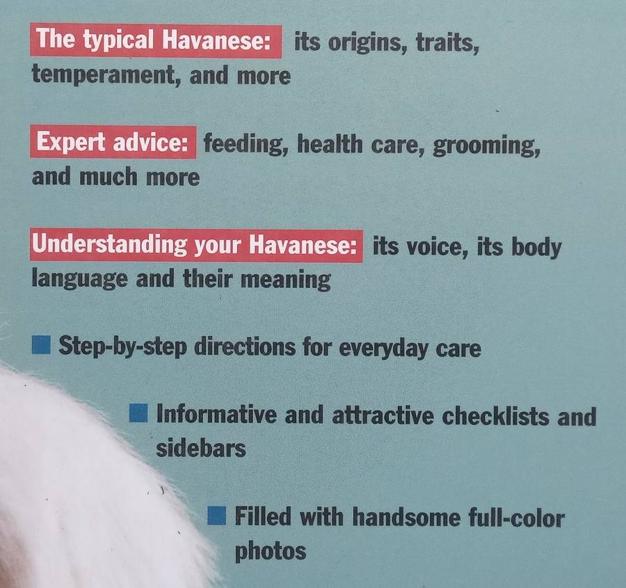 Havanese: A Complete Pet Owners Guide | Nikki Riggsbee