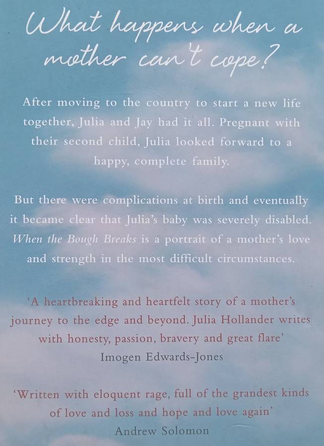 When the bough Breaks: A Mother's Story | Julia Hollander