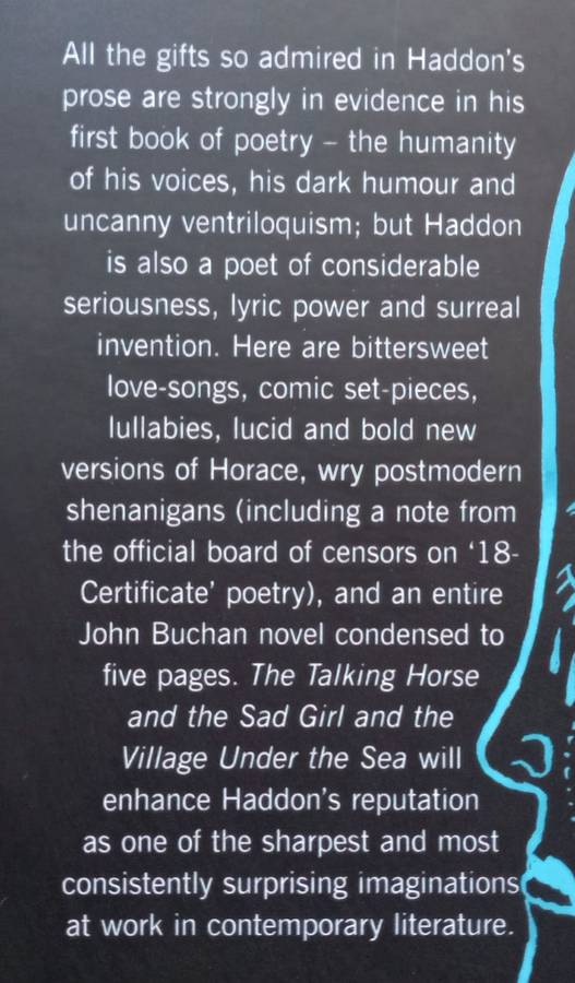 The Talking Horse and the Sad Girl and the Village Under the Sea | Mark Haddon