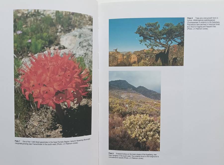 The Ecology of Fynbos: Nutrients, Fire and Diversity | Richard Cowling (Ed.)