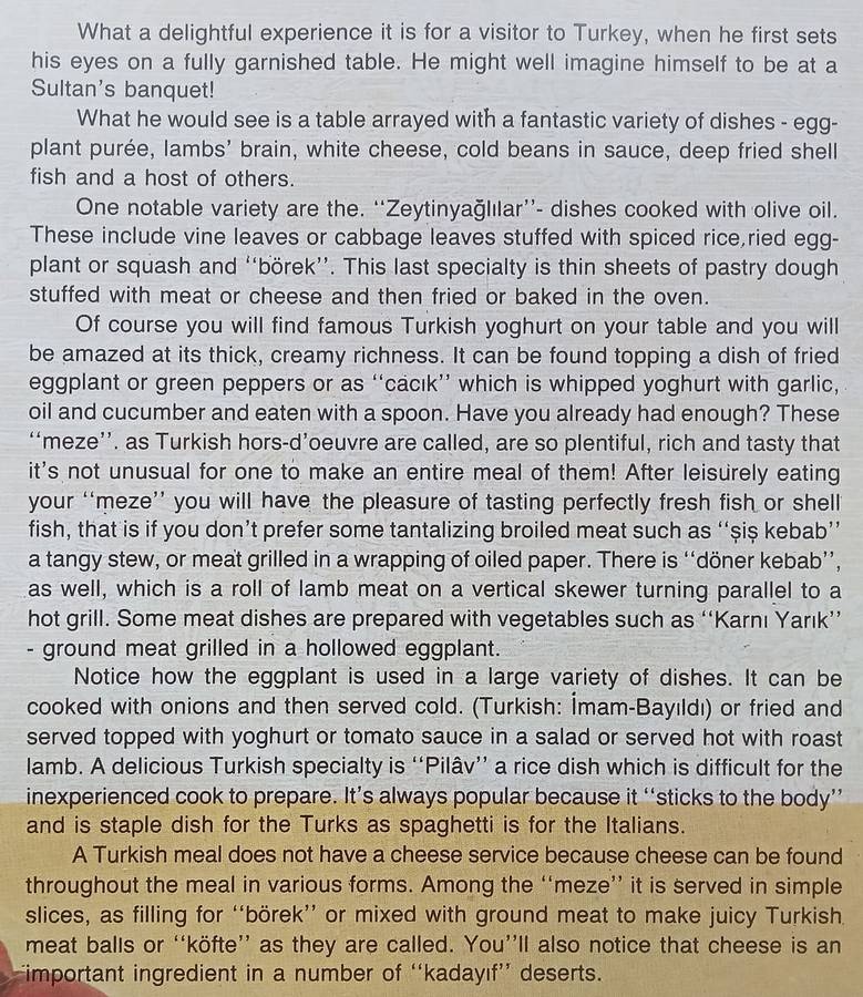 Turkish Cookery
