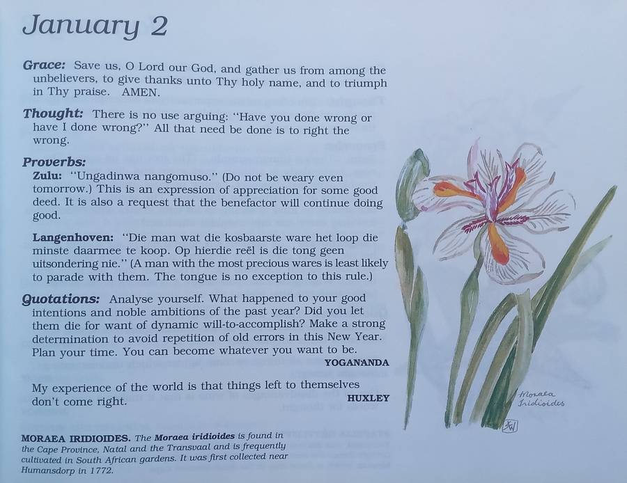 The Evergreen South African Diary (Signed by Author) | Susan Paramore Weyers
