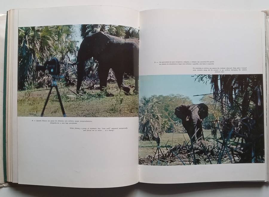 Gorongosa: Shooting Big Game with a Camera | Joao Augusto Silva