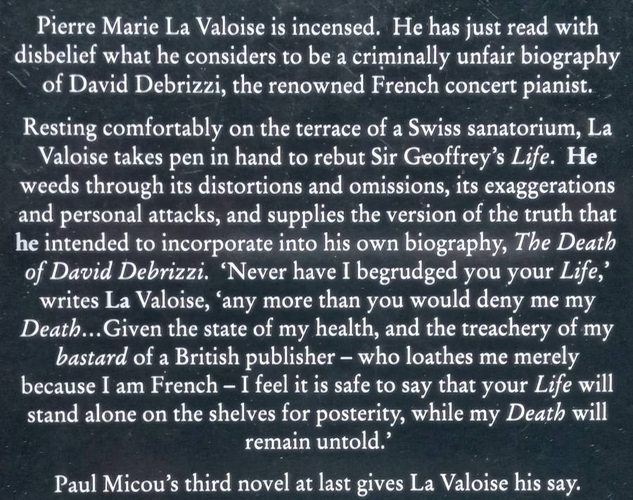 The Death of David Debrizzi | Paul Micou