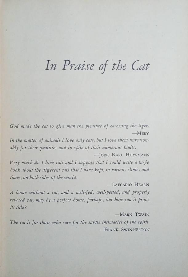 Cats, Cats, and Cats | Edward Rice and Jean Gleason