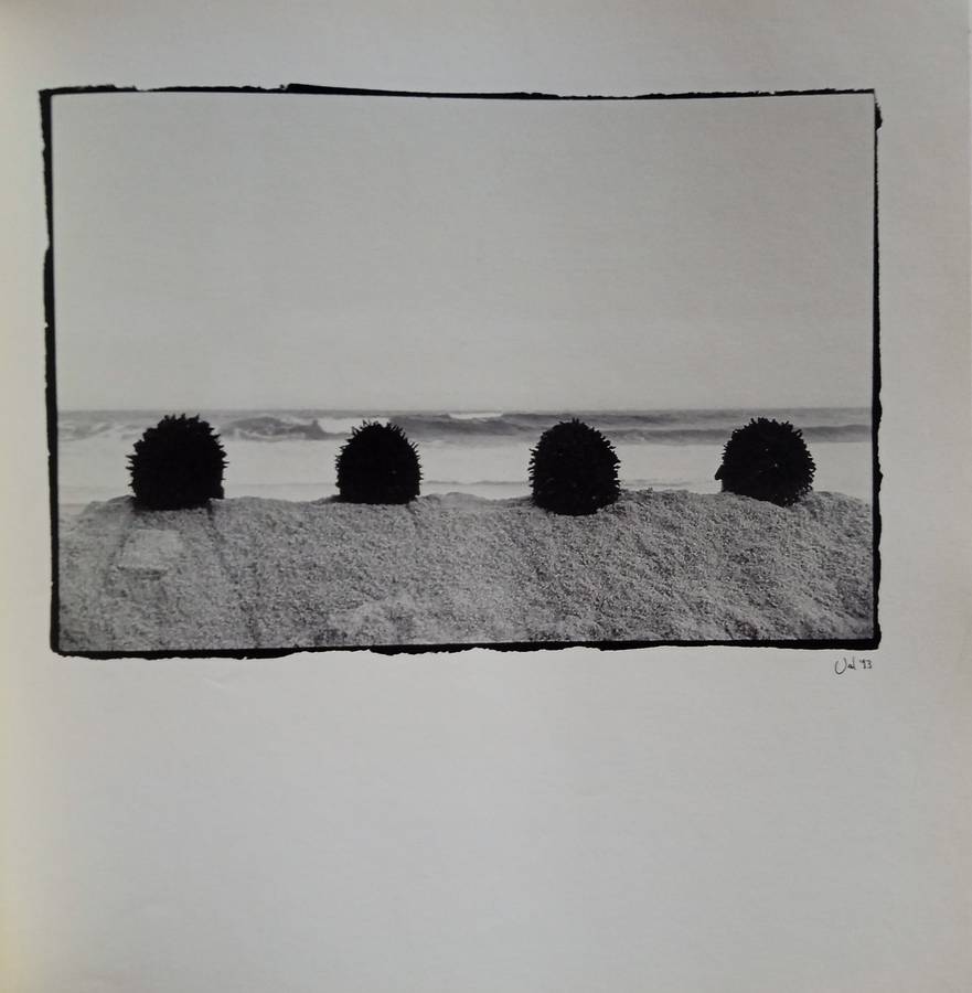 Textured lives : An exhibition of photographs - Val Adamson
