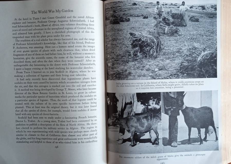 The World Was My Garden: Travels of a Plant Explorer | David Fairchild