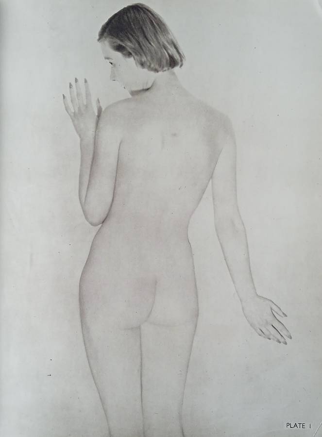 Artist's Model | John Everard