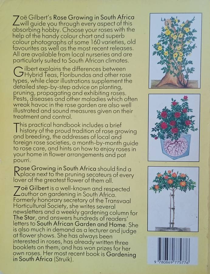 Rose Growing in South Africa | Zoë Gilbert
