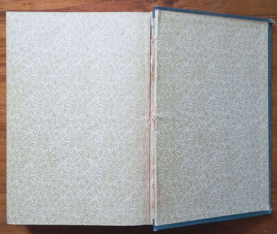 Ten Thousand Miles on a Bicycle (Published 1887) | Karl Kron