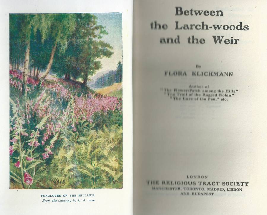 Between the Larch-Woods and the Weir | Flora Klickmann