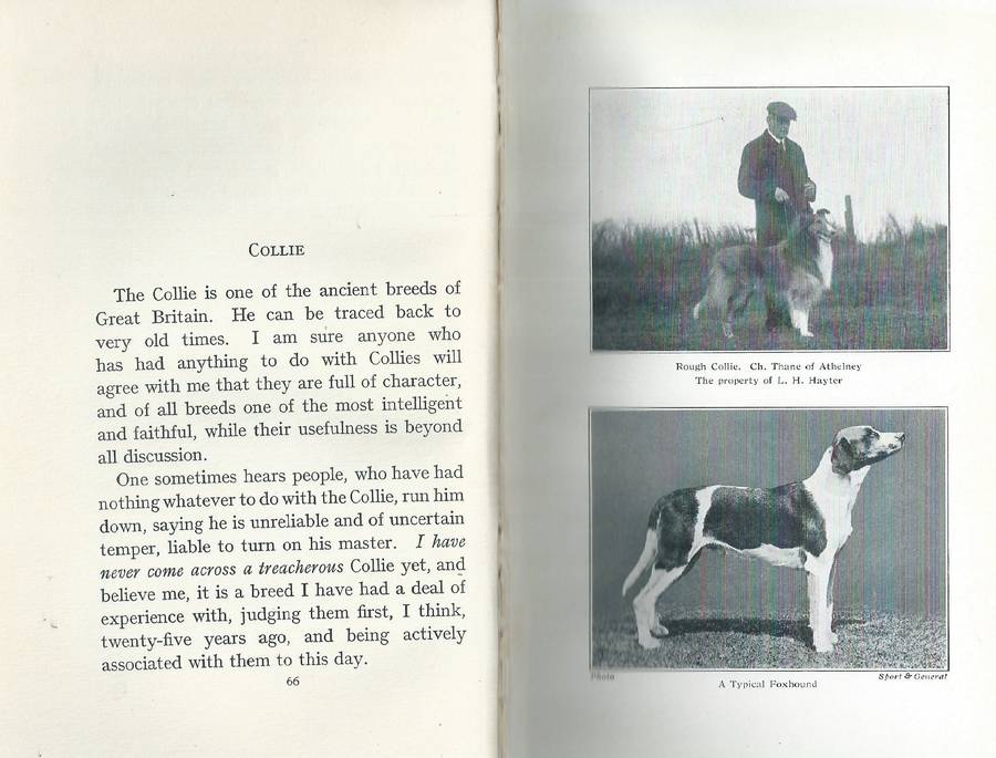 Points of the Dog (Published 1927) | T. W. Hancock Mountjoy