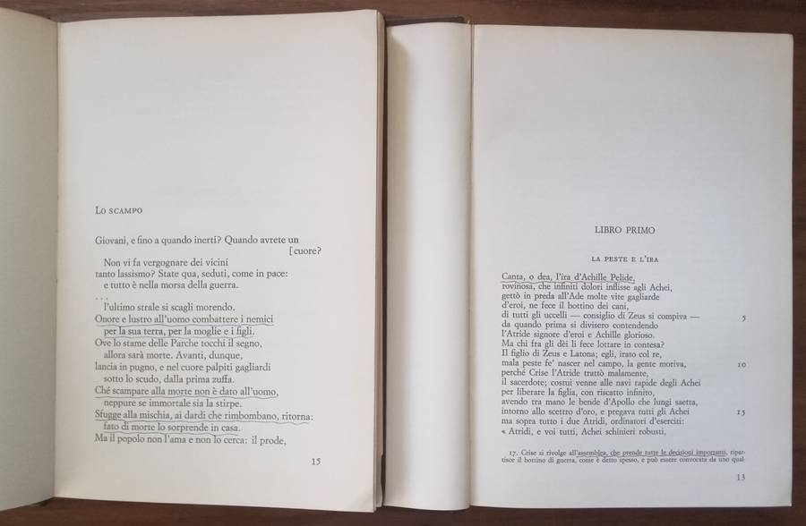 Lirici Greci & Iliade (Italian) | Homer, et al.
