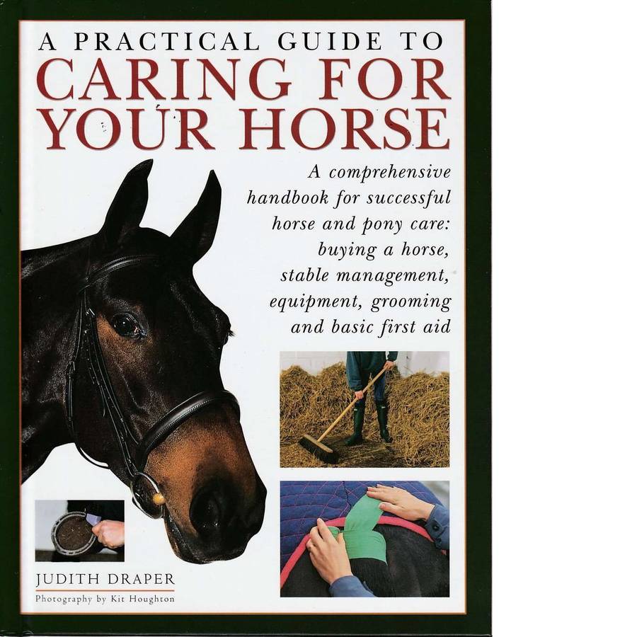 The Horse Box | Sarah Muir and Judith Draper and Debby Sly