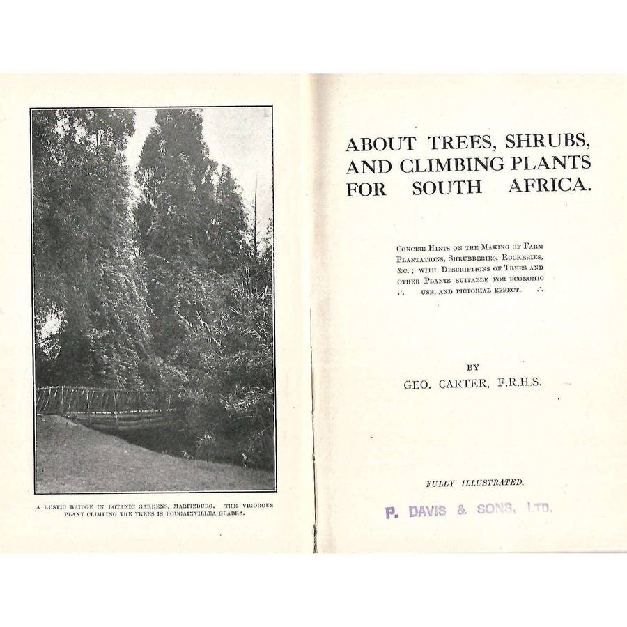 About Trees, Shrubs, and Climbing Plants for South Africa | Geo. Carter