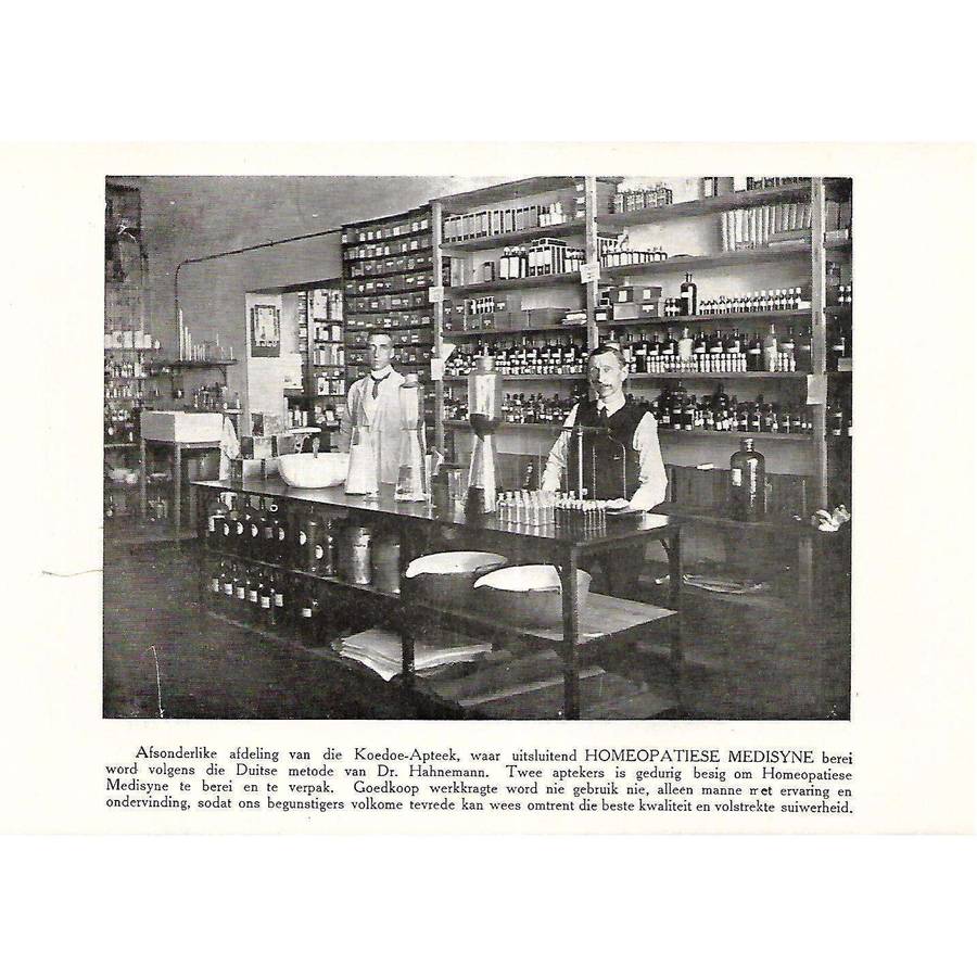 Die Afrikaanse Huisdoktor: Handleiding vir die Aanwending van Homeopatiese en Biogemiese Geneesmi...