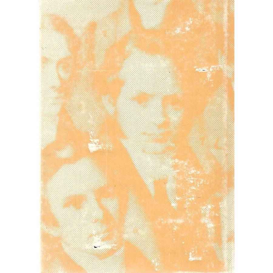 The Berlin Missionaries in South Africa and their Descendants (Dual Language Edition) | Linda Zol...