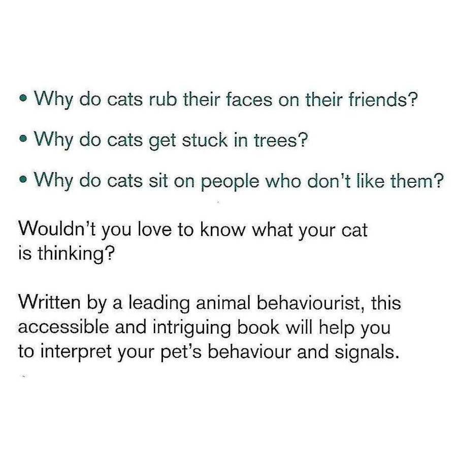 What is My Cat Thinking? The Essential Guide to Understanding Pet Behaviour | Gwen Bailey