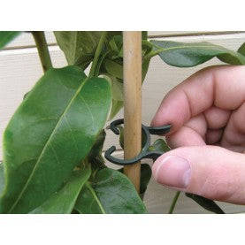 Kirchhoffs Plant Clips Singles