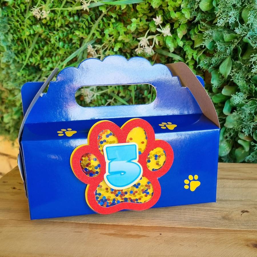 Paw Patrol Party Pack Box Set of 5