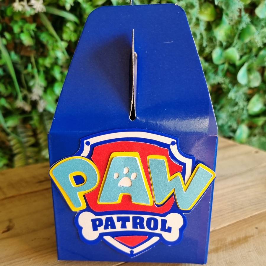 Paw Patrol Party Pack Box Set of 5