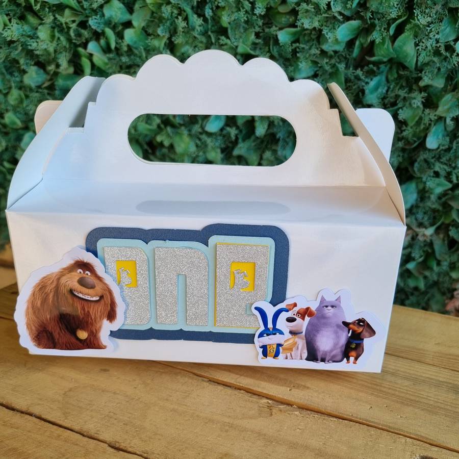 SECRET LIFE OF PETS PARTY PACK 5 BOXES