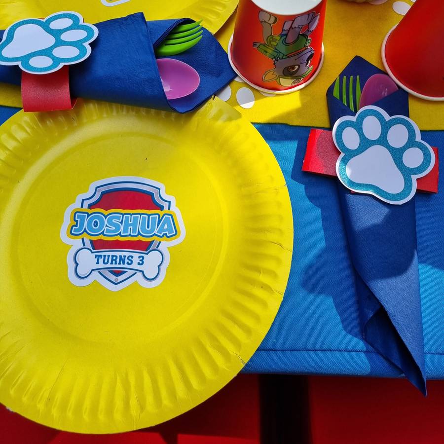 PAW PATROL PAPER PLATES SET OF 10