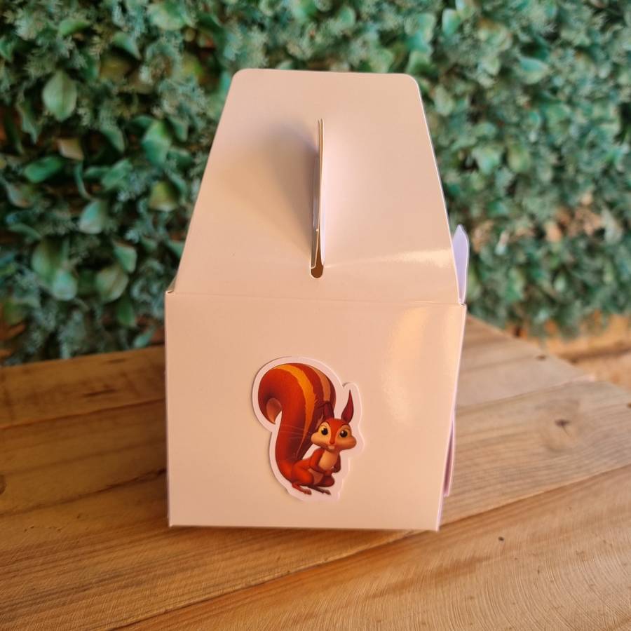 SOFIA THE FIRST PARTY PACK 5 BOXES Personalized Kids Party Favors South Africa