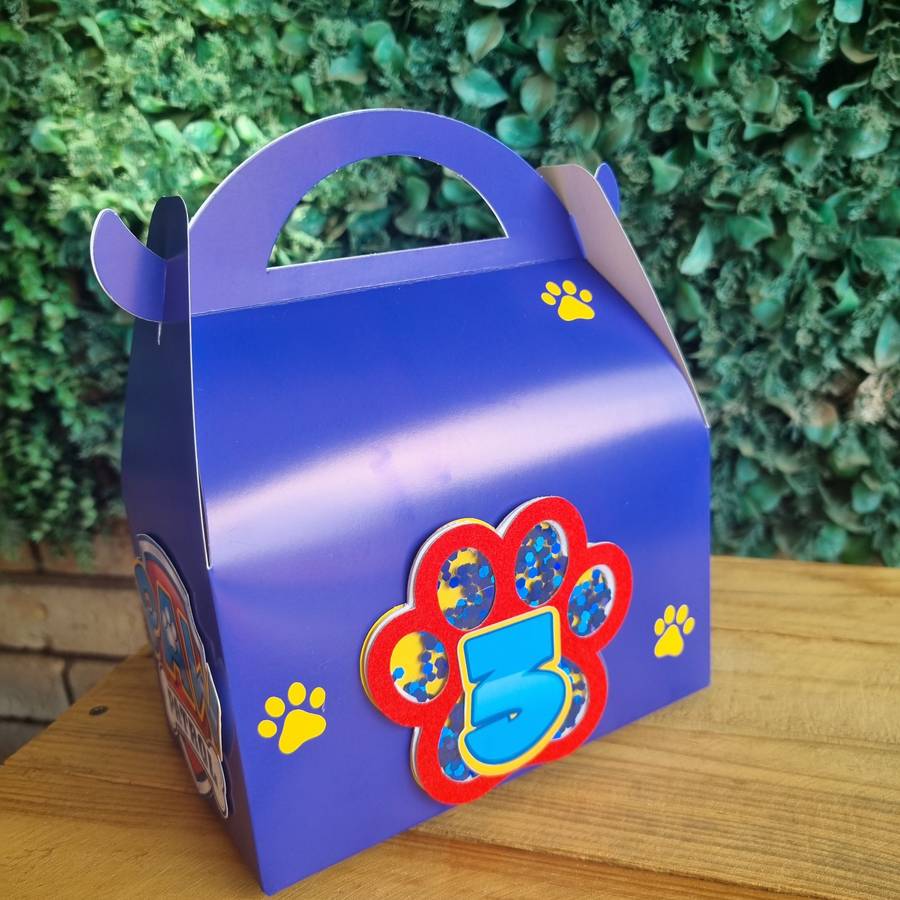Paw Patrol Party Pack Box Set of 5
