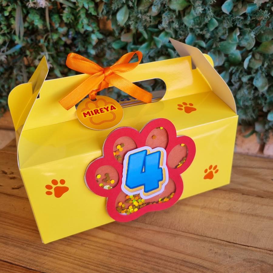 Paw Patrol Party Pack Box Set of 5