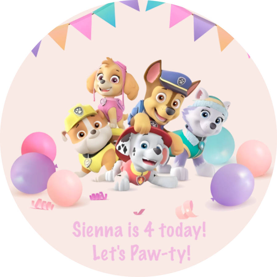 PAW PATROL GIRL PARTY DECOR Round Backdrop Balloon Garland and Character Cutouts