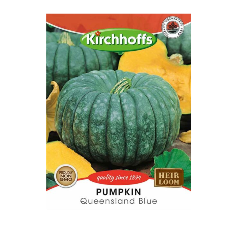 Pumpkin (Queensland Blue) - Kirchhoff Seeds, Vegetables