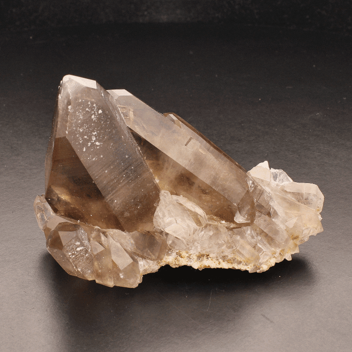 Smoky Quartz Cluster (Steinkopf) - Grounding Energy