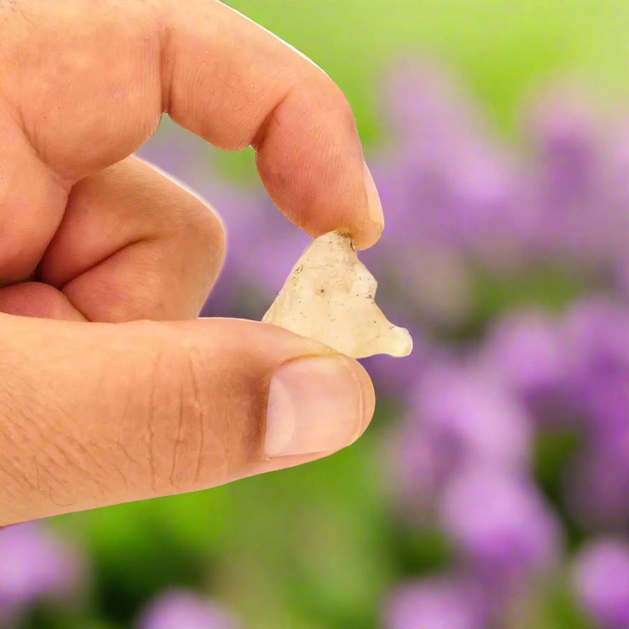 5g Libyan Desert Glass  Starborn Magic from Egypts Dunes