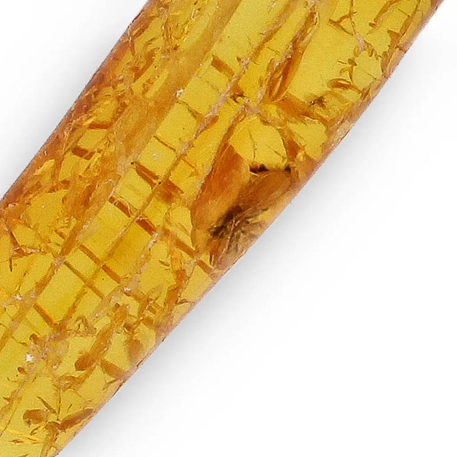 Genuine Baltic Amber: Ancient Insect Time Capsule Retry