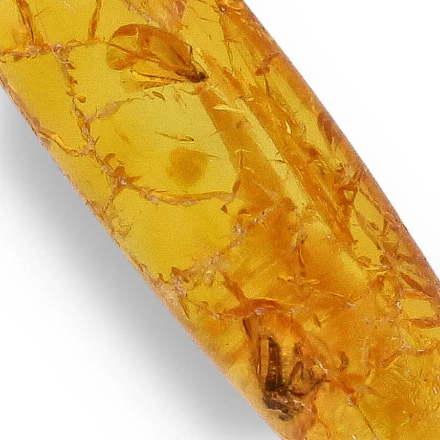 Genuine Baltic Amber: Ancient Insect Time Capsule Retry