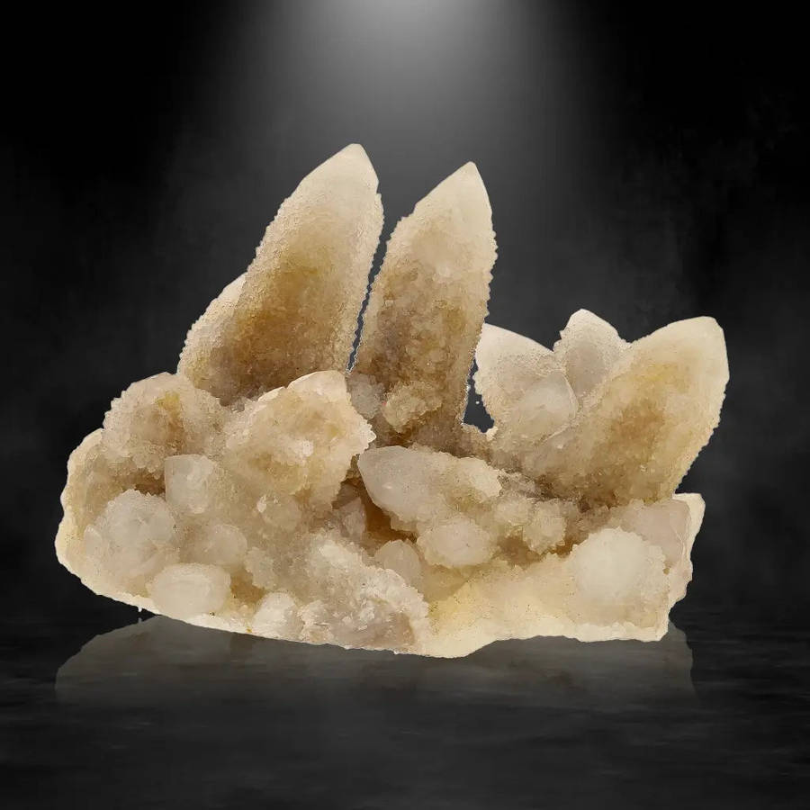 Cactus Quartz from Boekenhoutshoek: Unique Colorless Amethyst Gem