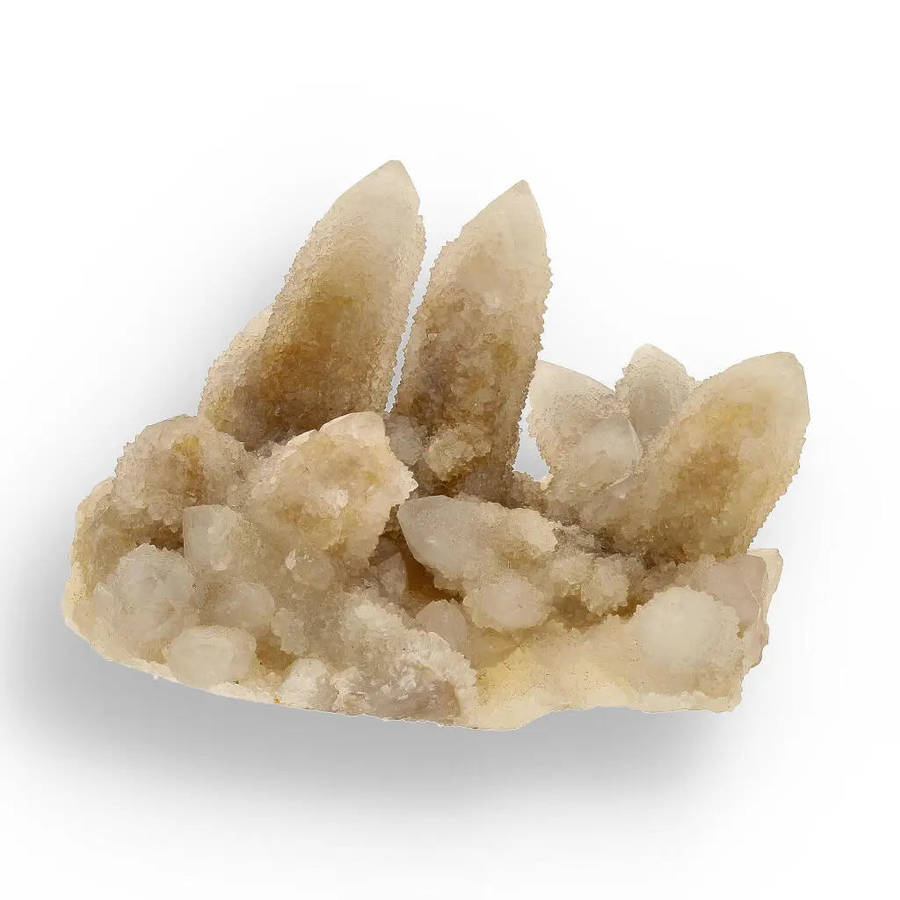 Cactus Quartz from Boekenhoutshoek: Unique Colorless Amethyst Gem