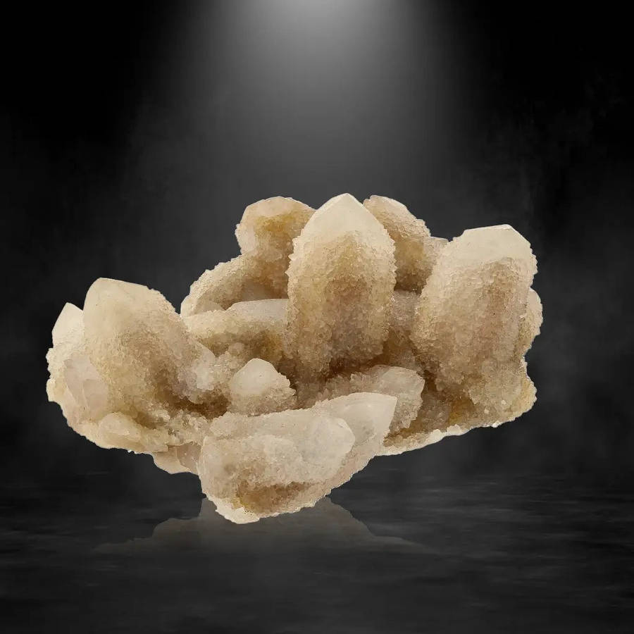 Cactus Quartz from Boekenhoutshoek: Unique Colorless Amethyst Gem